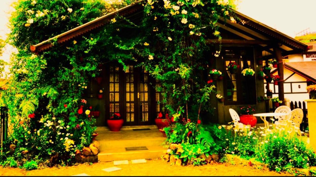 Heidi'S Home Νουβάρα Ελίγια Εξωτερικό φωτογραφία