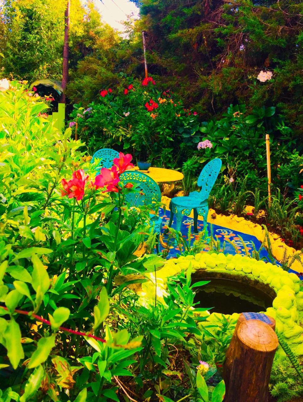 Heidi'S Home Νουβάρα Ελίγια Εξωτερικό φωτογραφία