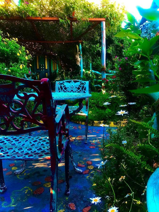 Heidi'S Home Νουβάρα Ελίγια Εξωτερικό φωτογραφία